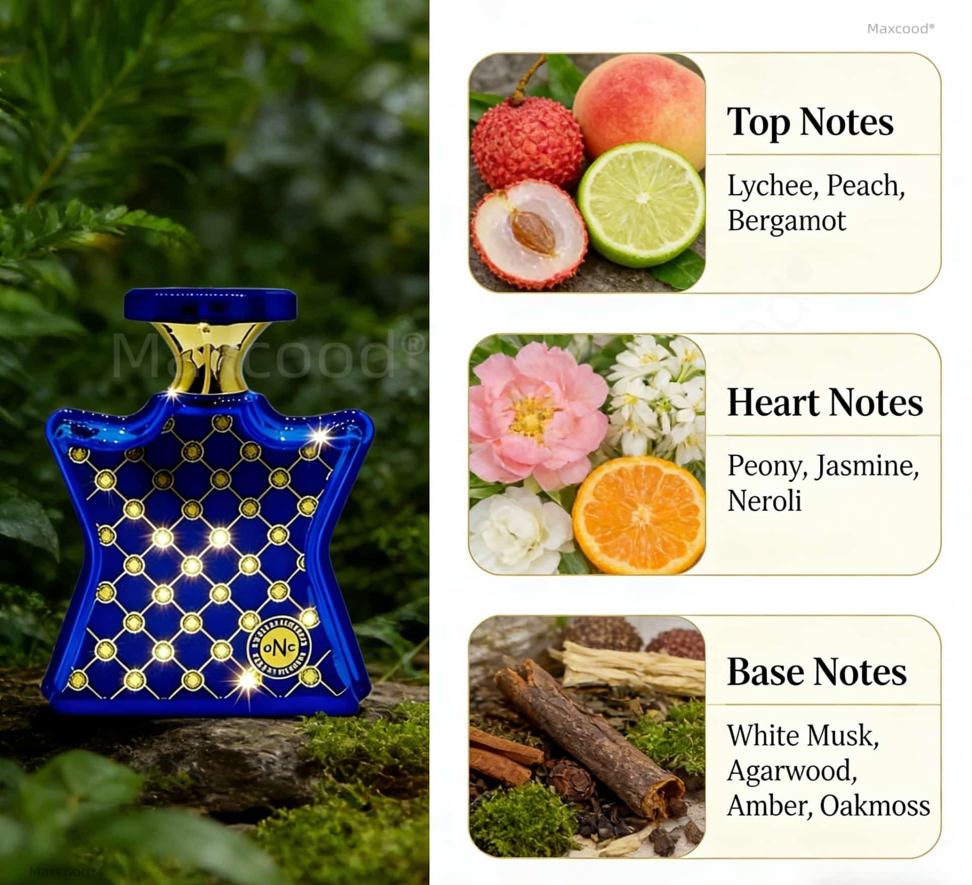 Citrus and Floral Perfume Long - Perfume High Fragrance review and price