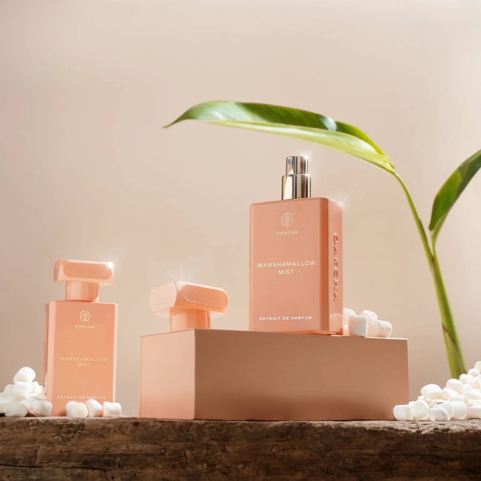 OAKCHA Marshmallow Mist Perfum - Perfume Juicy Fragrance review and price